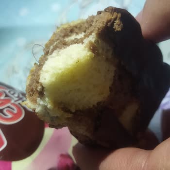 Torku Kek İçinden Çıkan Kıl Şoku!