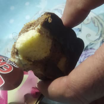 Torku Kek İçinden Çıkan Kıl Şoku!