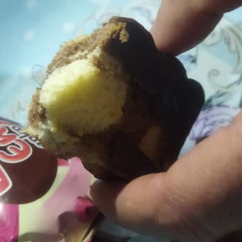 Torku Kek İçinden Çıkan Kıl Şoku!