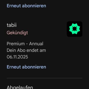 Almanya'dan Alınan Premium Üyelikle İçerik Erişim Sorunu