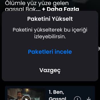 Almanya'dan Alınan Premium Üyelikle İçerik Erişim Sorunu