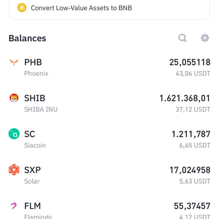 Binance Hesabımdaki XEM Coinlerim Kayboldu