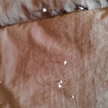 Mudo'dan Aldığım Montun Kalite Sorunları Ve İade Talebim