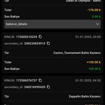 Silinen Bakiye Sorunu Ve Çözüm Beklentisi