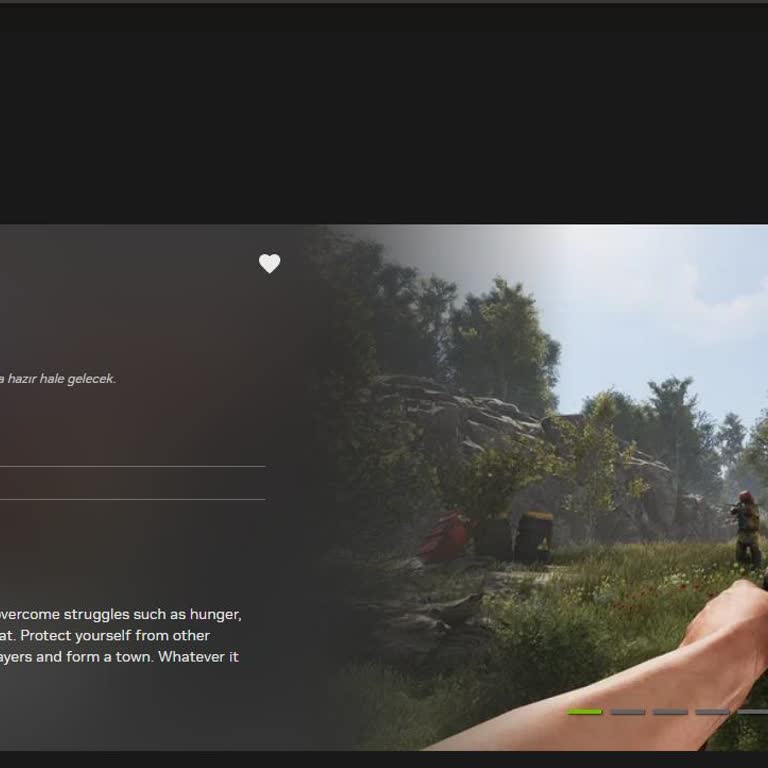 Game+ Platformunun Kullanıcı Deneyimi Ve Sorunları