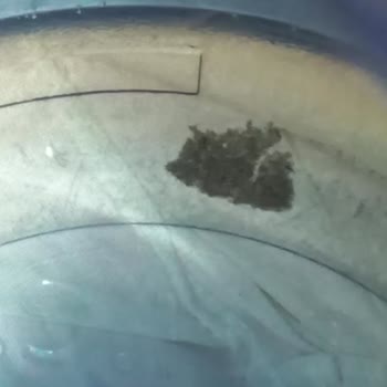 Saka Su'da Yosunlu Damacana Ve İlgisiz Bayi Sorunu