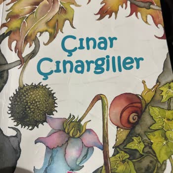 Çocuk Kitabında Sübliminal Mesaj Ve Küfür İddiası