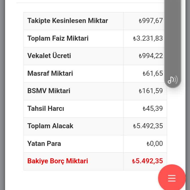 Yasalara Rağmen Silinmeyen Borç Mağduriyeti