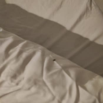 Hijyen Sorunları Ve Kötü Hizmet Deneyimi