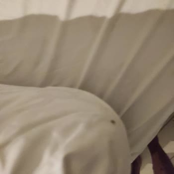 New Royal Suites Kadıköy'de Yaşanan Hijyen Sorunları