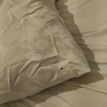 New Royal Suites Kadıköy'de Yaşanan Hijyen Sorunları