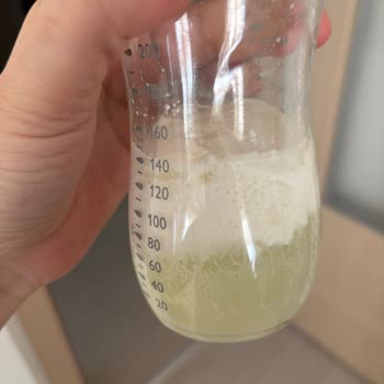 Mama Kalitesinde Beklenmedik Sorun