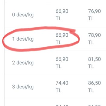 Kargo Ücretlerindeki Belirsizlik Ve Ek Maliyetler