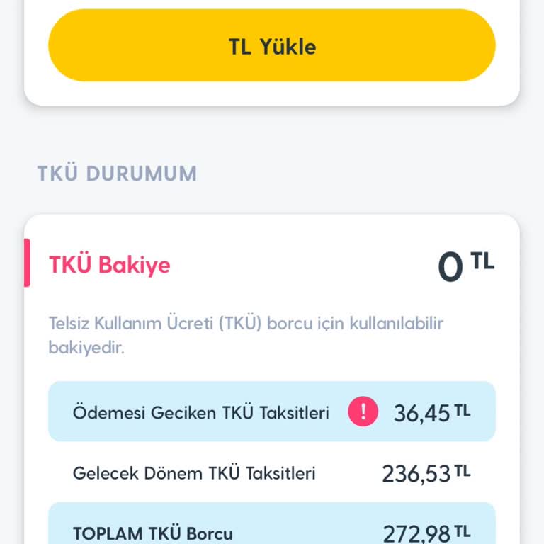 Turkcell'de Bir Günde 272 Lira Borç Şoku