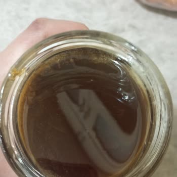 Balparmak Çam Balında Şaşırtıcı Beyaz Görüntü