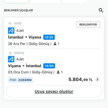 Online Check-in Sorunu İle Mağduriyet