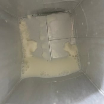 Yörükoğlu Bozuk Sütle Karşılaşma Ve Sağlık Riski!