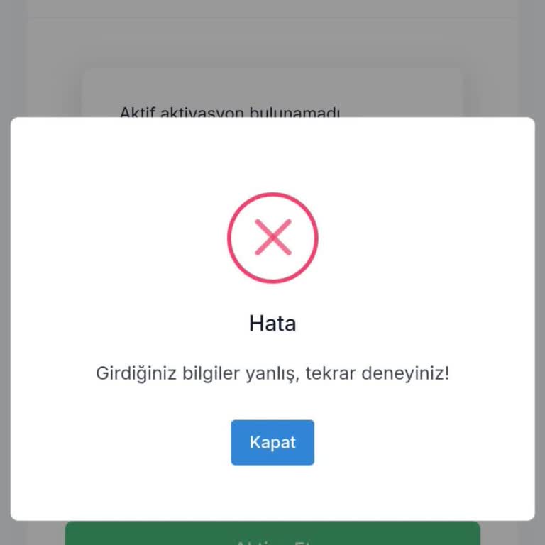 Pegem Akademi E-Kitap Aktivasyon Sorunu