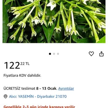 Kupkuru Dal Parçası Yerine Canlı Çiçek Beklerken Mağdur Oldum