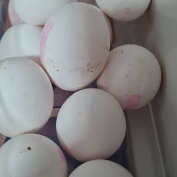 Keskinoğlu Yumurta Kolilerinde Yanıltıcı Boyut Ve Temizlik Sorunu