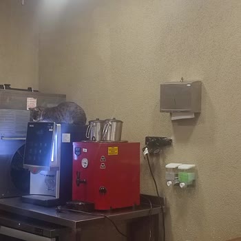 Burger King Akçay'da Hijyen Skandalı: Kedili Çay Kahve Bölümü