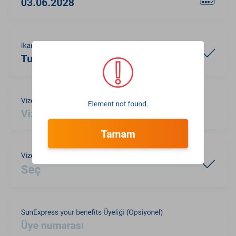 Sunexpress Online Check-in Sorunu: 'Element Not Found' Hatası