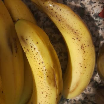 A101 Kapıda Siparişinde Kırık Yumurtalar Ve İade Sorunu