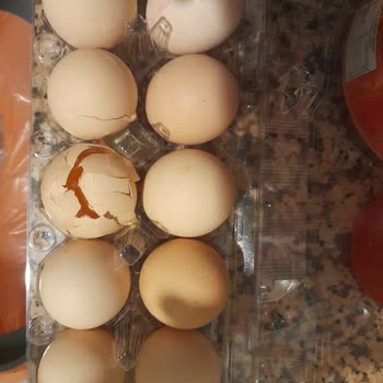 A101 Kapıda Siparişinde Kırık Yumurtalar Ve İade Sorunu