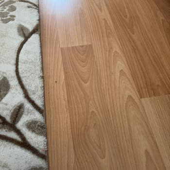 Philips Robot Süpürge Vakumlama Sorunları Ve Servis İlgisizliği