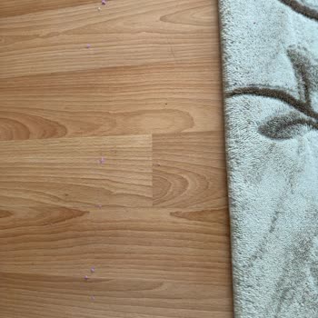 Philips Robot Süpürge Vakumlama Sorunları Ve Servis İlgisizliği