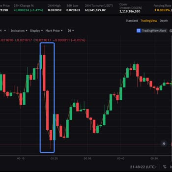 ByBit не сработал стоп-лосс, и я потерял позицию