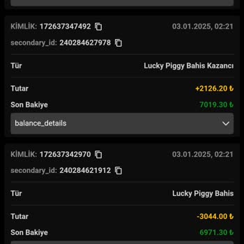 Kazancım Ödenmedi: Rottbet Mağduriyeti