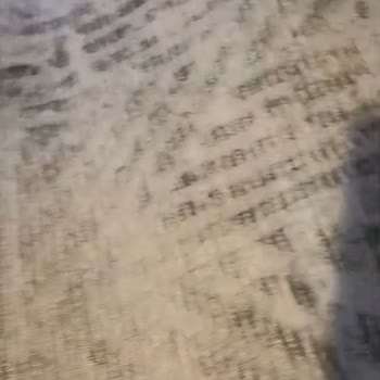 Çınar Halı Yıkama (Esenler) Halıların Hepsi Küf Olmuştu Ve Halılar Islaktı