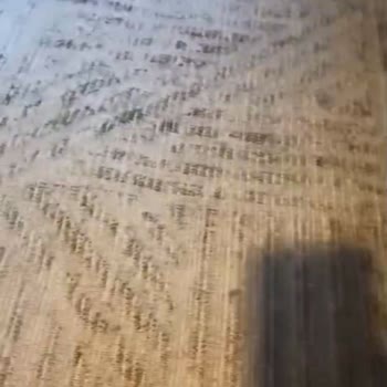 Çınar Halı Yıkama (Esenler) Halıların Hepsi Küf Olmuştu Ve Halılar Islaktı