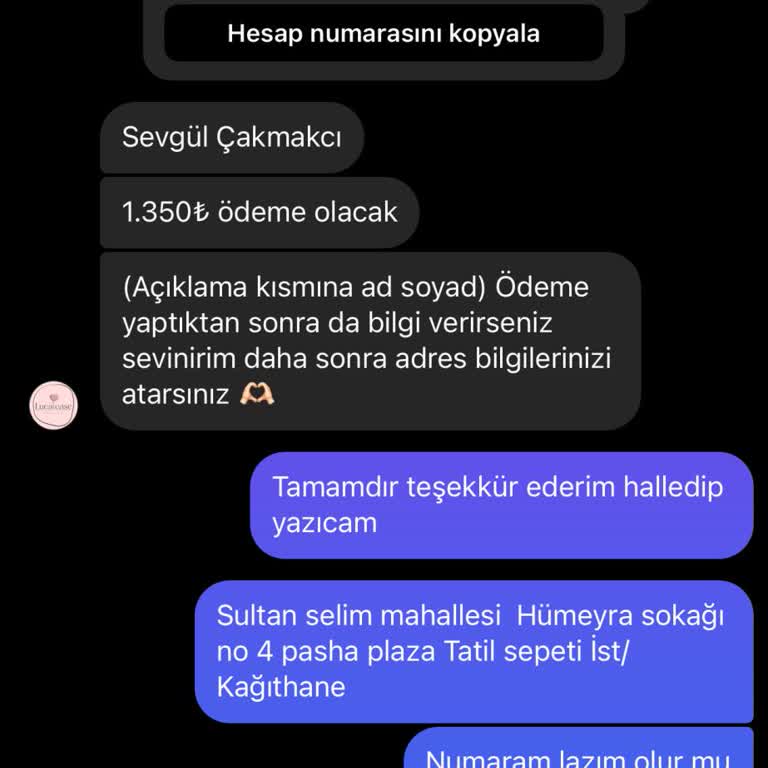 Luca Case'den Sipariş Verdim, Yanıt Yok