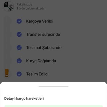 Teslimat Kodu Eksikliği Nedeniyle Ürün Teslim Alamama Sorunu
