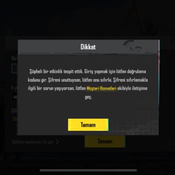 Hesap Erişim Sorunu Ve Mağduriyet