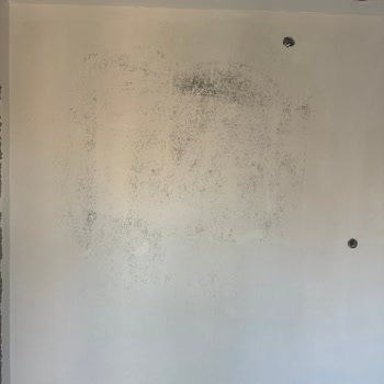 Boya Kalitesi Ve Müşteri Hizmetleri Hayal Kırıklığı