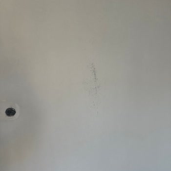 Boya Kalitesi Ve Müşteri Hizmetleri Hayal Kırıklığı