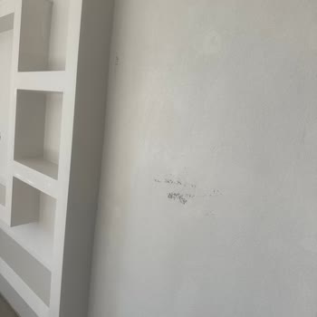 Boya Kalitesi Ve Müşteri Hizmetleri Hayal Kırıklığı