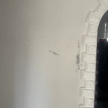 Boya Kalitesi Ve Müşteri Hizmetleri Hayal Kırıklığı