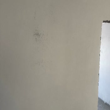 Boya Kalitesi Ve Müşteri Hizmetleri Hayal Kırıklığı