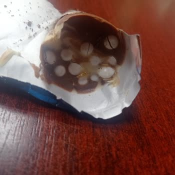 Son Tüketim Tarihi Geçmemiş Üründe Canlı Kurt Şoku