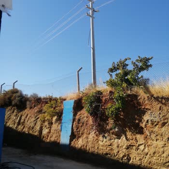 Acil Müdahale Gereken Tehlikeli Elektrik Direği Sorunu