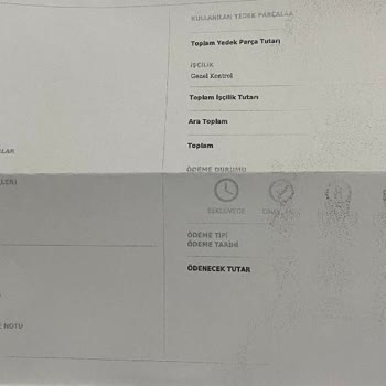 Servis Sonrası Kiwi Koltuk Yıkama Makinesi Sorunları