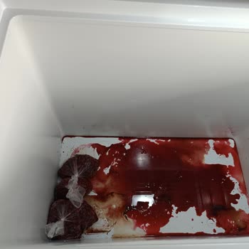 Bitmeyen Arıza Ve Çözülmeyen Mağduriyetle Uğraşan Müşteri