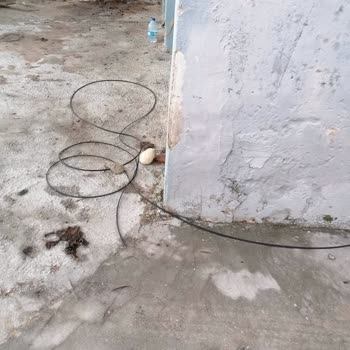 İnternet Direği Sorunu: İki Haftadır Çözüm Bekliyorum!