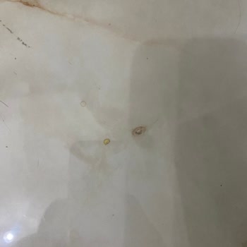 Seramiksan Karo Kalitesi Hayal Kırıklığı