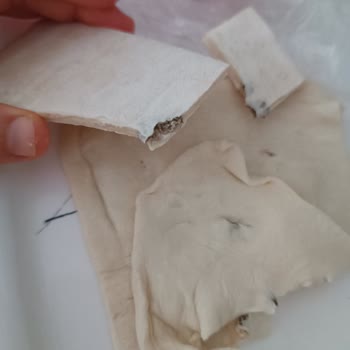 Superfresh Milföy Hamurunda Şok Edici Buluntu!