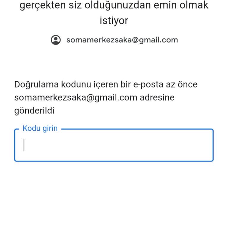 Hesaba Giriş Sorunu: E-posta Ve Doğrulama Problemi